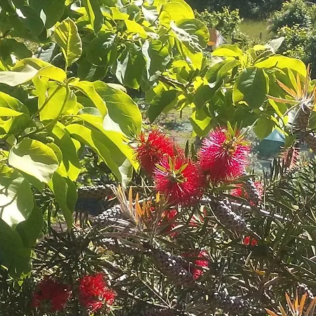 Casa Cima De * Vieira do Minho
