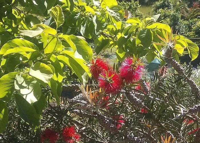 Casa Cima De * Vieira do Minho