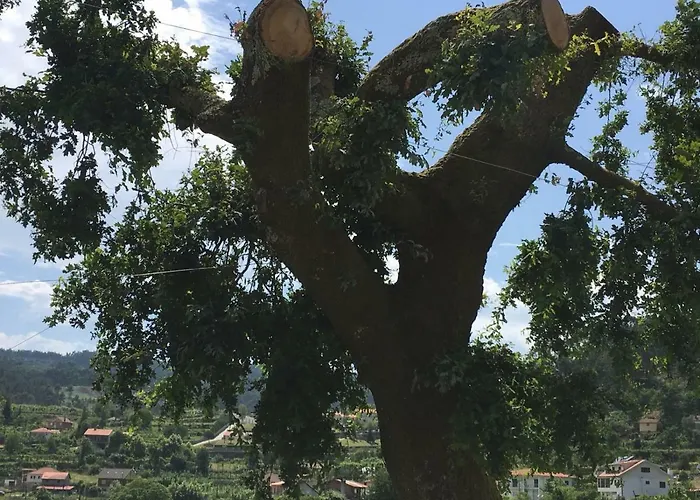 Casa de Férias Casa Cima De Vieira do Minho